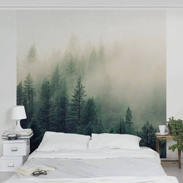 Fotomurale Foresta nella nebbia Tessuto non tessuto - Verde / Multicolore - 192 x 192 cm