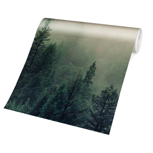 Fotomurale Foresta nella nebbia Tessuto non tessuto - Verde / Multicolore - 192 x 192 cm
