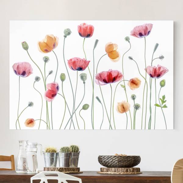 Quadro Party Canvas /  Abete massello - Bianco / Multicolore - 60 x 40 cm