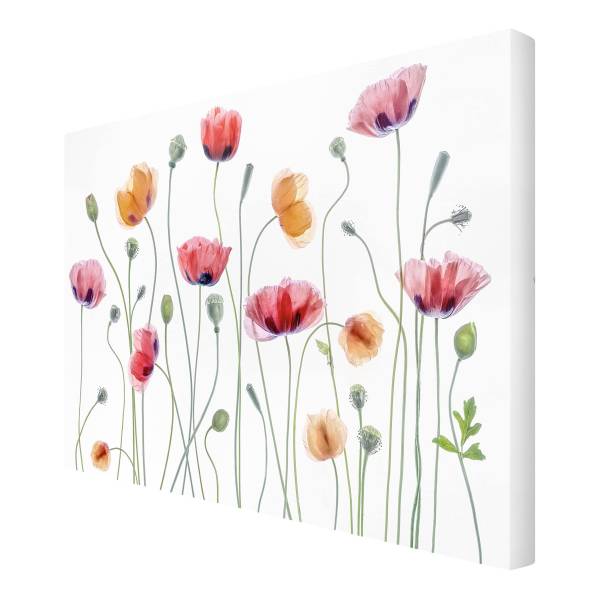 Quadro Party Canvas /  Abete massello - Bianco / Multicolore - 60 x 40 cm