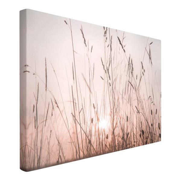 Quadro Un’estate da sogno Canvas /  Abete massello - Beige / Multicolore - 60 x 40 cm