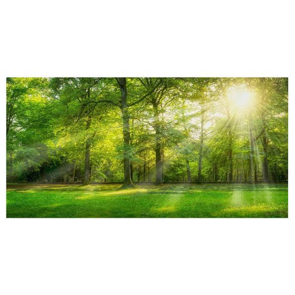 Impressions sur toile Promenade en forêt Toile / Épicéa massif - Vert / Multicolore - 60 x 30 cm