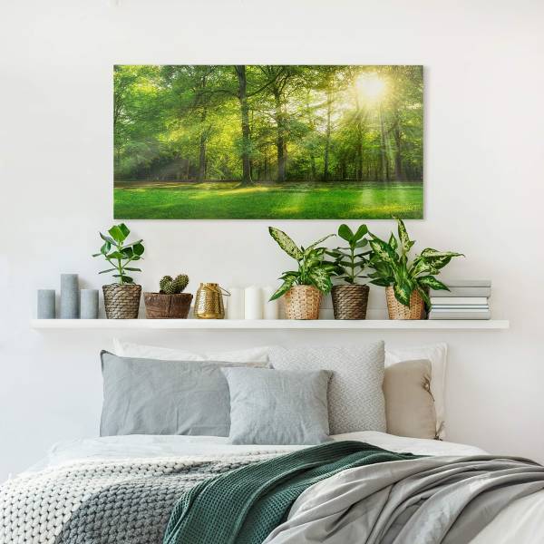 Impressions sur toile Promenade en forêt Toile / Épicéa massif - Vert / Multicolore - 60 x 30 cm