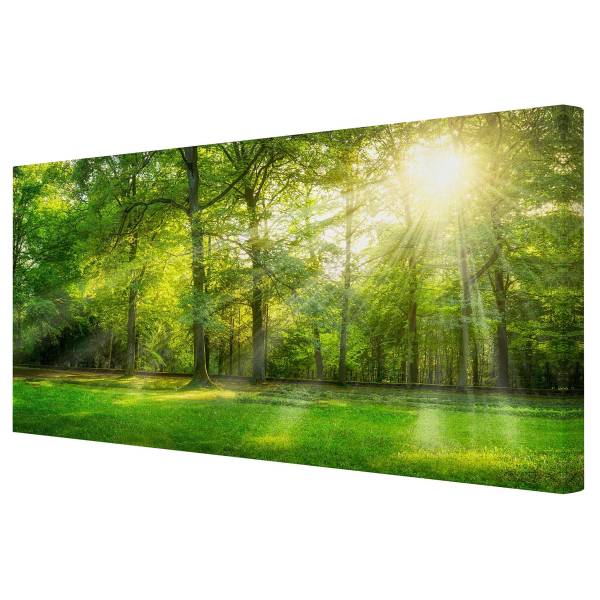 Impressions sur toile Promenade en forêt Toile / Épicéa massif - Vert / Multicolore - 60 x 30 cm