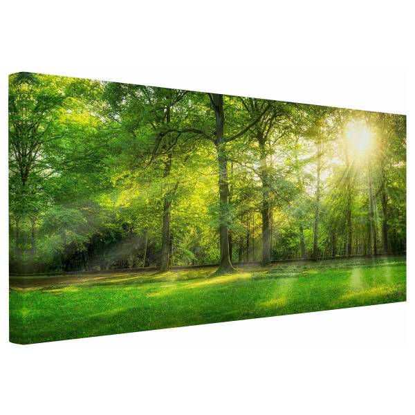 Impressions sur toile Promenade en forêt Toile / Épicéa massif - Vert / Multicolore - 60 x 30 cm