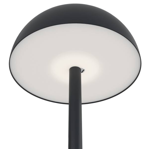 Staande lamp op batterij RICANO Dimbaar - zwart