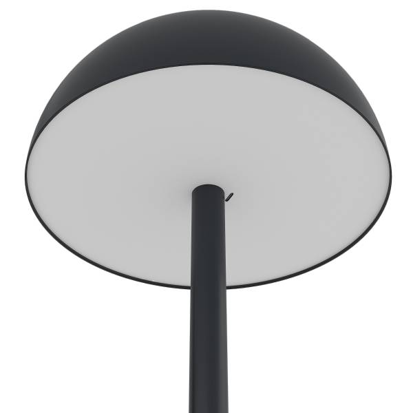 Staande lamp op batterij RICANO Dimbaar - zwart