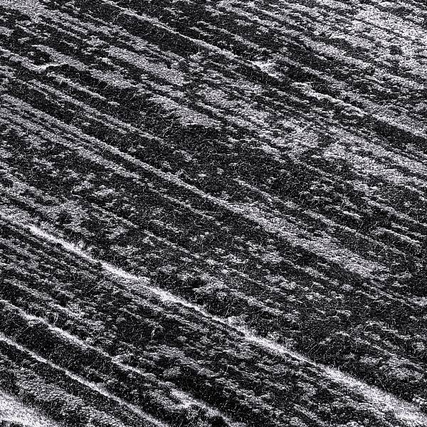 Tappeto a pelo corto Auroras Mono Viscosa / Poliacrilico - Grigio scuro - 67 x 130 cm