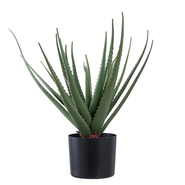 ayna sun aloe vera gel Arizona Sun Bath Products main image 1