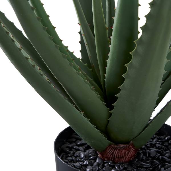 Kunstpflanze Aloe Vera kaufen | home24
