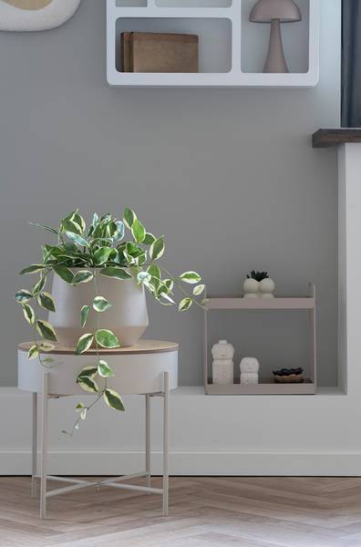 Kunstpflanze Hoya Carnosa Grün - Polyethylen - 26 x 33 x 26 cm