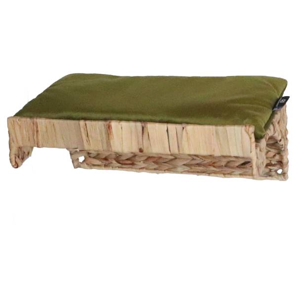 Kletteretage Payu Wasserhyazinthe / Samt - Olivgrün