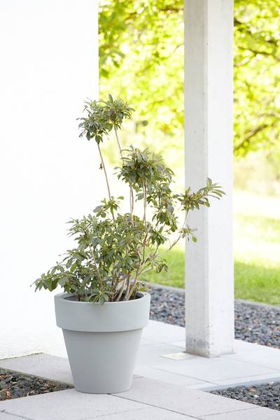 Outdoor Pflanztopf Letta kaufen | home24