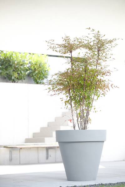 Outdoor Pflanztopf Letta kaufen | home24
