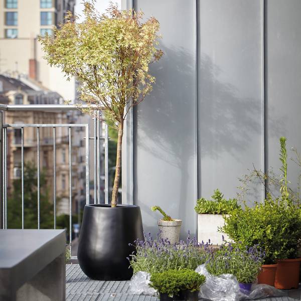 schmale hohe blumenkästen 2 x Pflanzkasten 