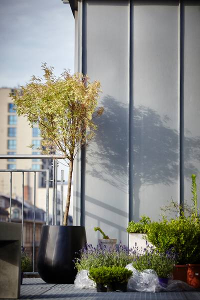 Outdoor Pflanztopf Jobok kaufen | home24