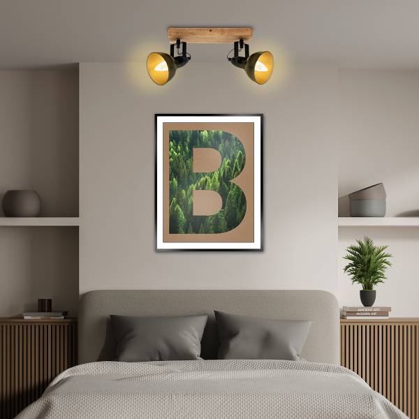 Lichtbron Bulba type D set van 2 transparant glas - transparant