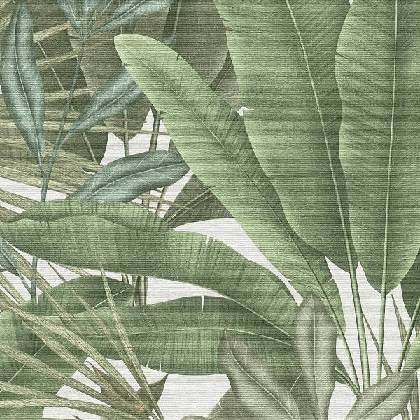 Fotomurale wow Giungla Tessuto non tessuto - Verde / Bianco - preincollata