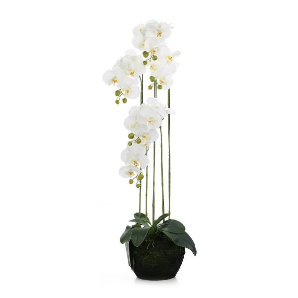 Kunstpflanze Orchidee mit Topf Weiß - Polyester PVC - 32 x 110 x 32 cm