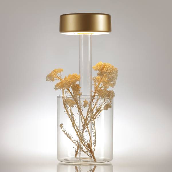 Lampada da tavolo LED Collaboration A Alluminio / Vetro trasparente - 1 punti luce - Dorato