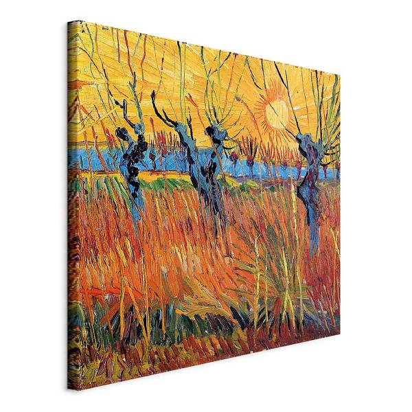 Quadro Willows at Sunset 80 x 80 cm
