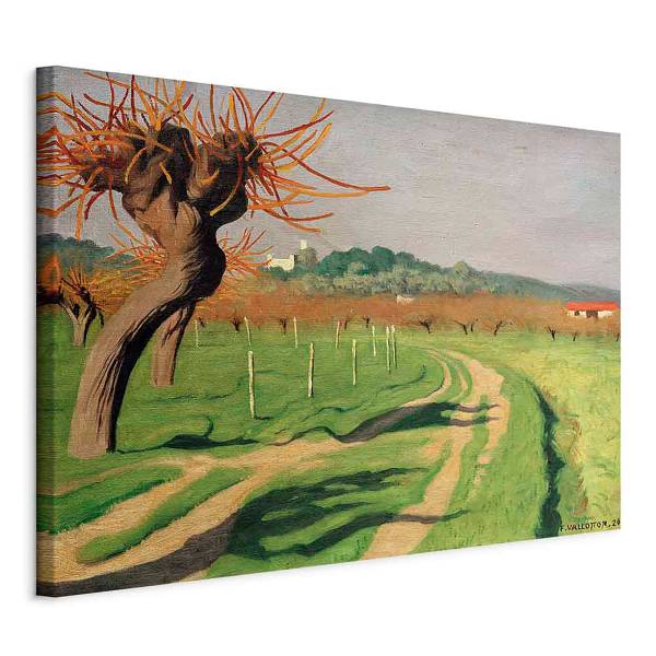 Canvas afbeelding Vallée de la Cagne Félix Vallotton - 120 x 80 cm