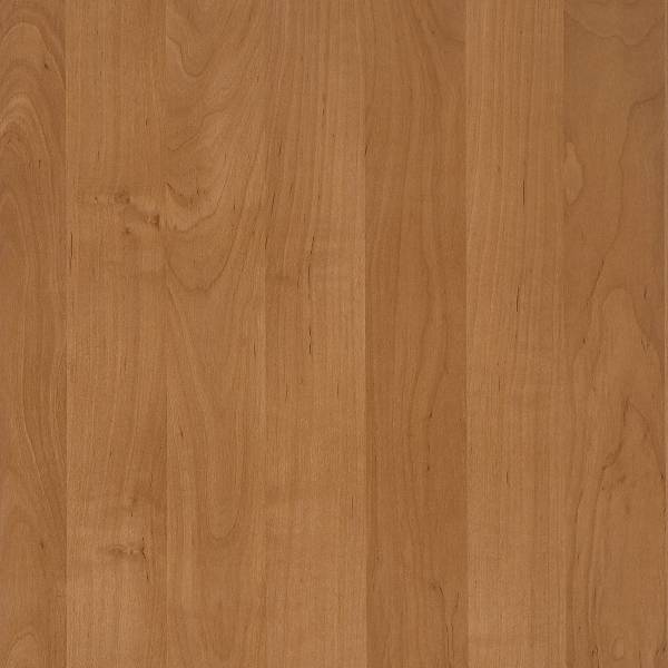 Kast Cardiff met 1 deur champagnekleurig - els