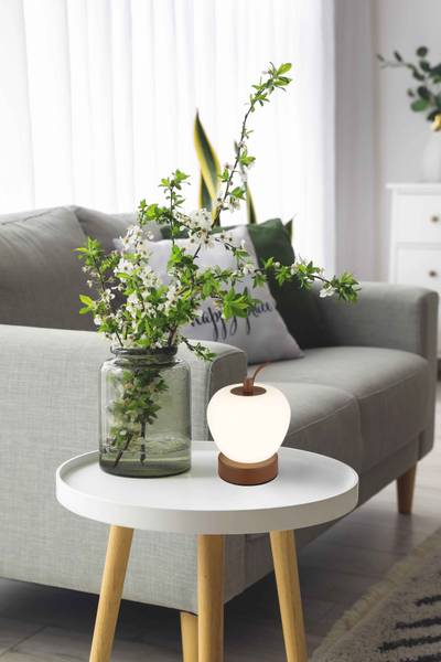 LED-tafellamp Evalina acrylglas/ijzer - 1-lichts