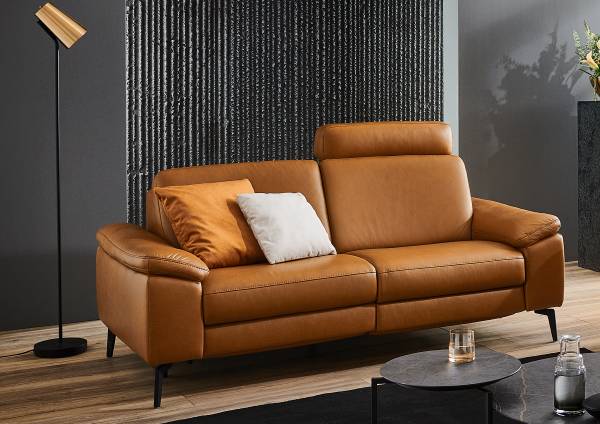 2,5 Sitzer Sofa SC Pure kaufen