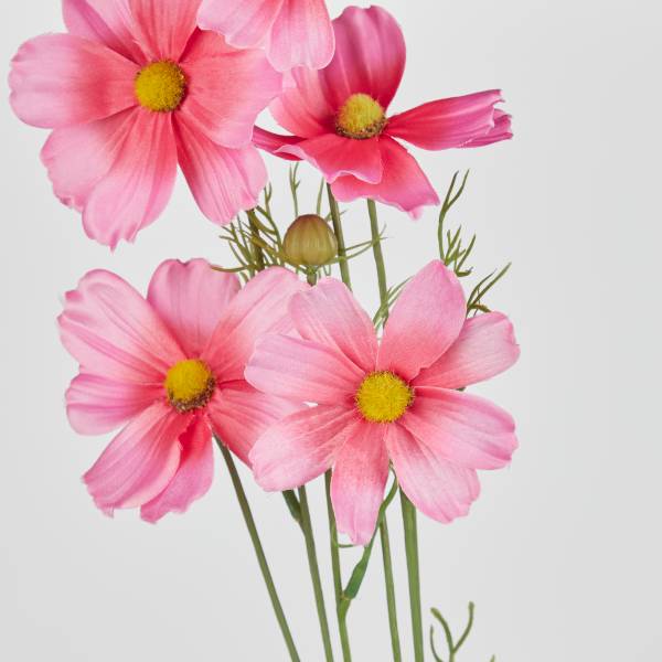 Fiore artificiale FLORISTA Galsang Polietilene / ferro - Rosa - Rosa