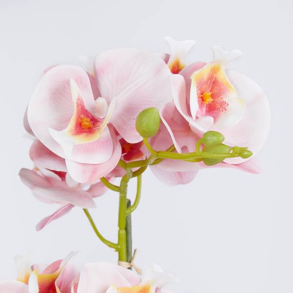 Fiore artificiale FLORISTA Orchidea Polietilene - Arancione chiaro