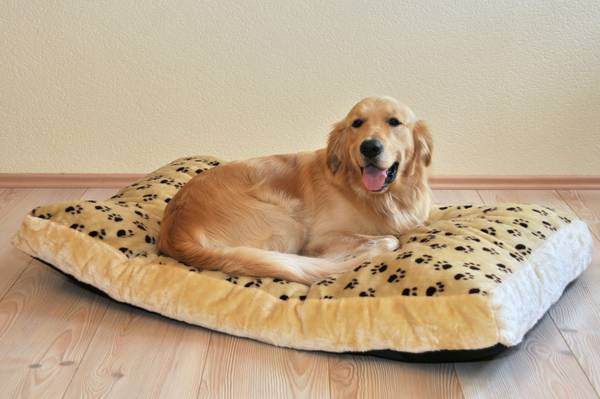 Cuccia Silvio Gr.2 poliestere - Beige