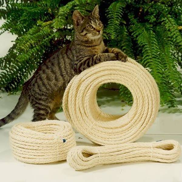 Corde en sisal Miau 25 m Sisal - Beige