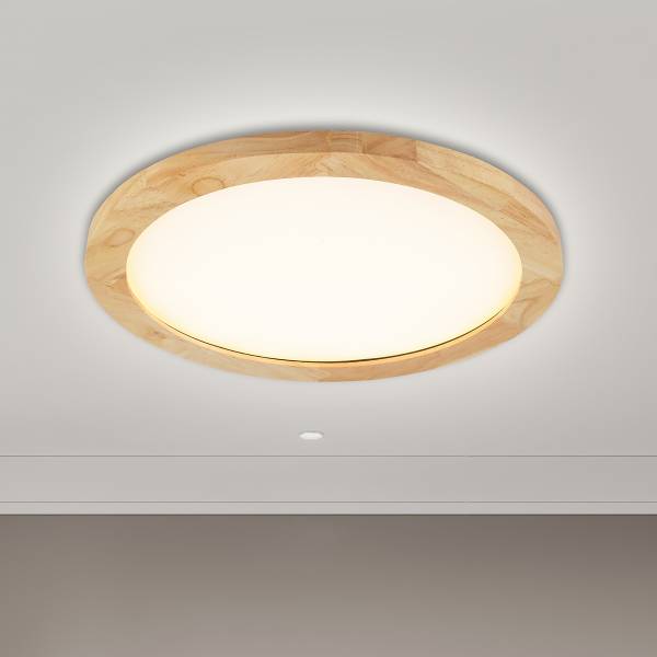 LED-Deckenleuchte Hina Eisen - Weiß / Holzoptik