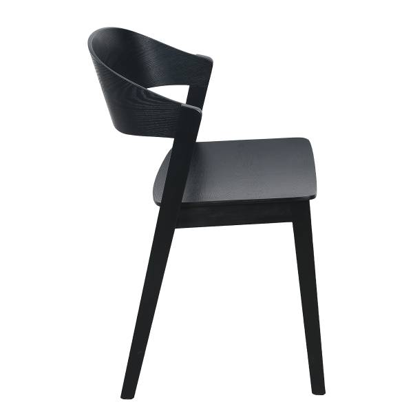 Esszimmerstuhl FLOMATON Schwarz - 2er Set