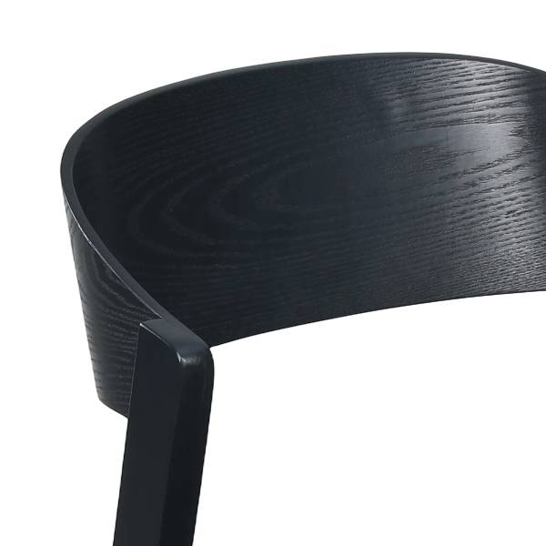 Esszimmerstuhl FLOMATON Schwarz - 2er Set
