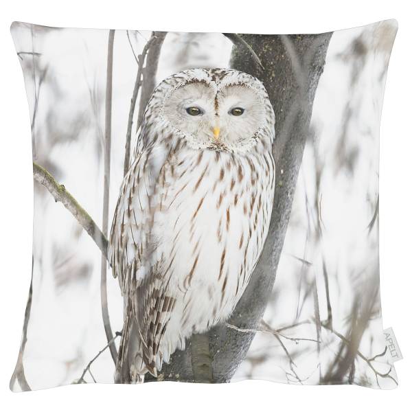 Federa per cuscino 3700 Tessuto - Bianco / Grigio