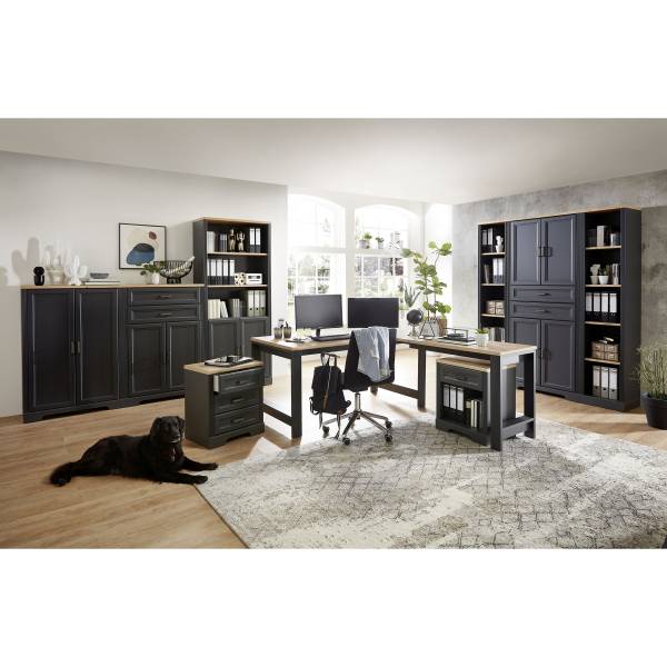 Armoire à dossiers Jasmund Gris - Chêne - 86 x 204 x 38 cm