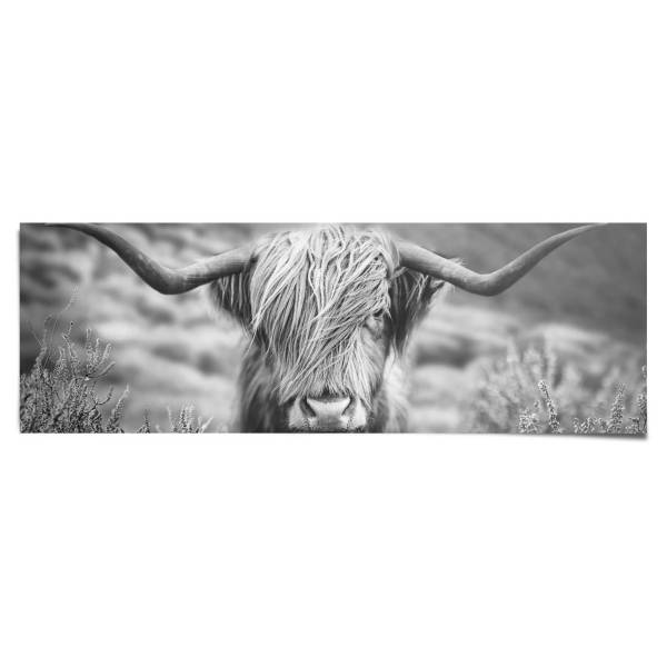 Poster Highlander Bulle Papier - Schwarz