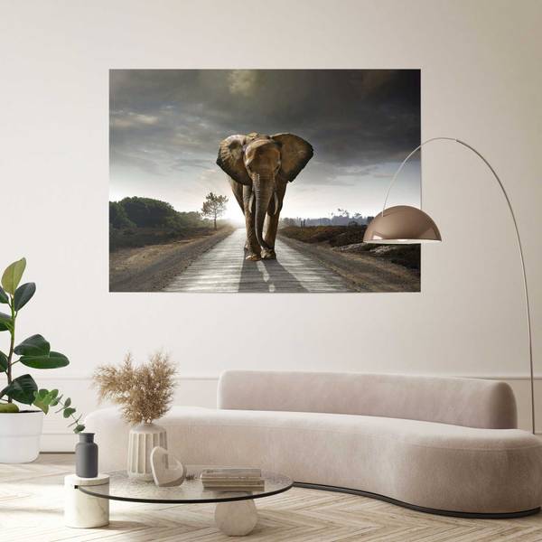 Poster Giant XXL Re degli elefanti Carta - Marrone