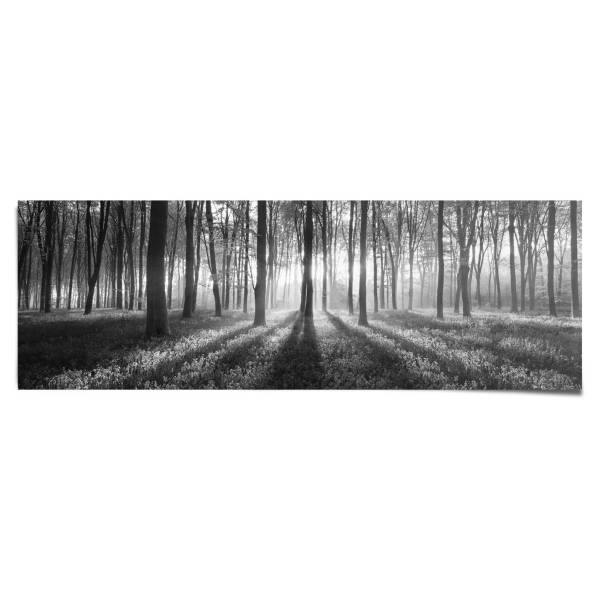 Poster Sole nella foresta Carta - Nero
