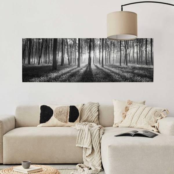 Poster Sole nella foresta Carta - Nero
