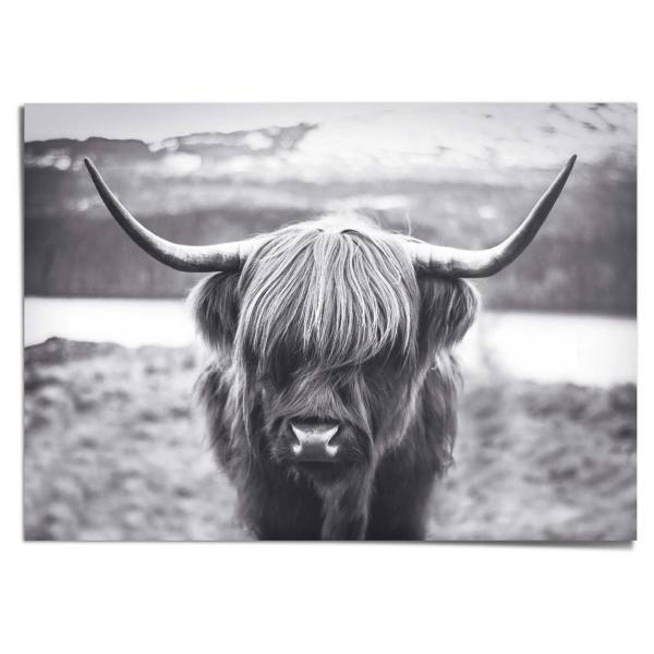 Poster Giant XXL Mucca Carta - Nero