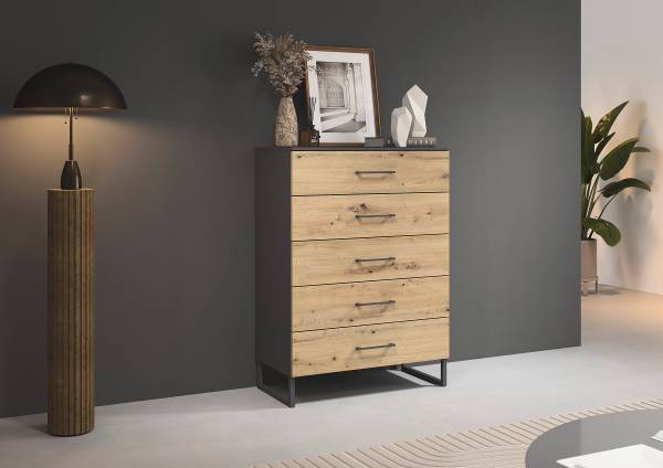 Kast Butte 5 lades Artisan eikenlook/metallic grijs