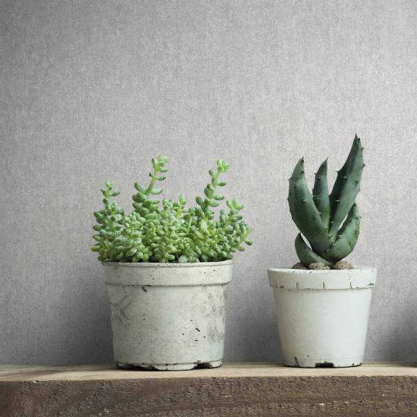 Vliesbehang 35137 Betonlook vlies - grijs