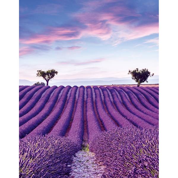 Vliestapete 35643 Landschaft Vlies - Lila