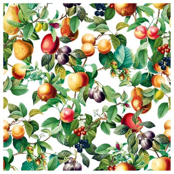 Fotomurale 35632 Frutta Tessuto non tessuto - Multicolore