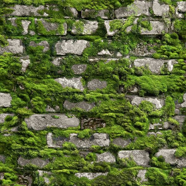 Fotomurale 45731 Pietra con muschio Tessuto non tessuto - Verde / grigio