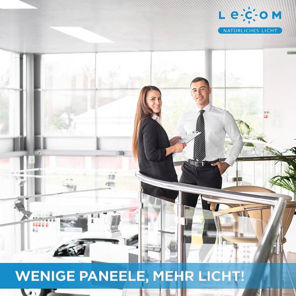 Panneau LED Lecom 10972 120x60 Polypropylène / Aluminium - 1 ampoule