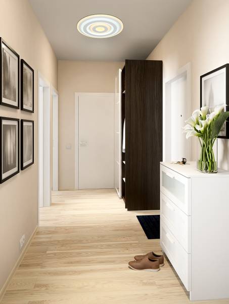 Lampada a soffitto LED Alois Vetro acrilico / Ferro - 1 punto luce